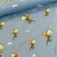 Little dragons Jersey hellblau
