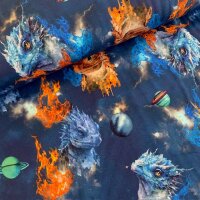 Feuerdrachen Jersey blau