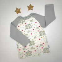 T-Shirt Langarm Katzen
