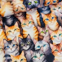 Katzen Baumwolle