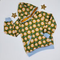 Pulli Löwenköpfe
