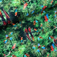 Papageien im Dschungel Jersey grün