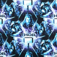 Thor Jersey schwarz