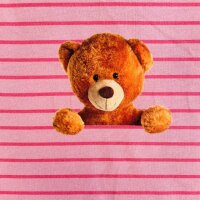 Teddy Panel FrenchTerry rosa