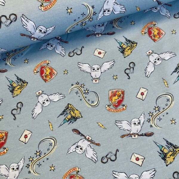 Harry Potter Jersey blaugrau